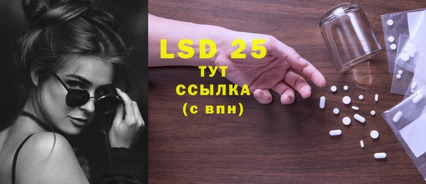 сатива Надым