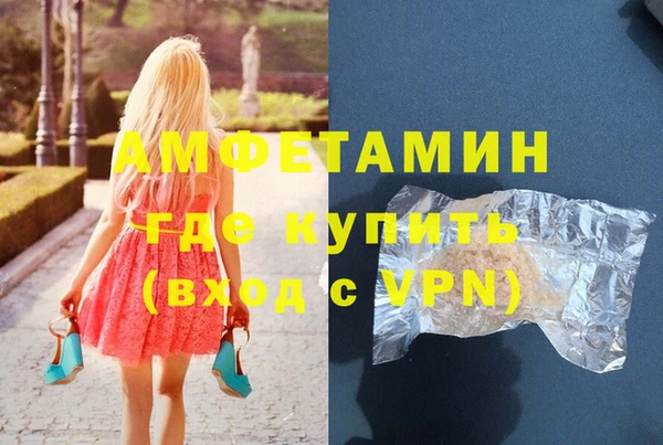 сатива Надым