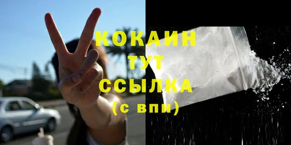 сатива Надым