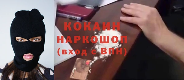 сатива Надым