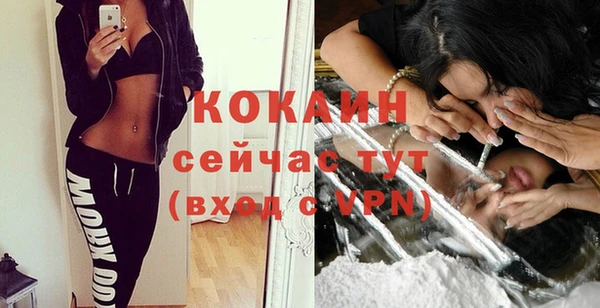 сатива Надым