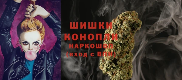 ГАЛЛЮЦИНОГЕННЫЕ ГРИБЫ Наволоки