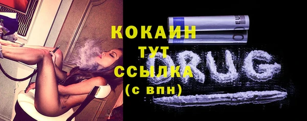 сатива Надым
