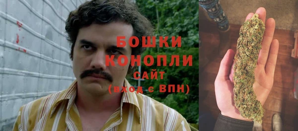 ГАЛЛЮЦИНОГЕННЫЕ ГРИБЫ Наволоки