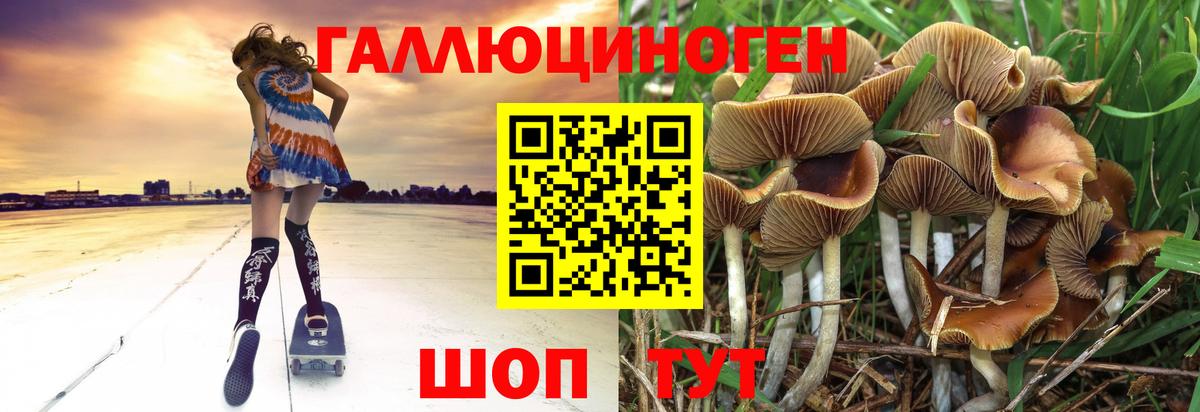Галлюциногенные грибы Cubensis  Вход с VPN  Сатка 