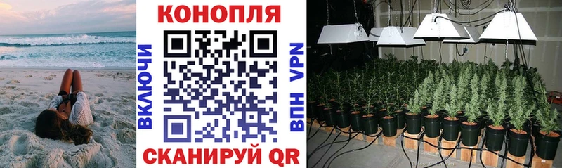 мега как зайти  Сатка  Бошки марихуана тримм 